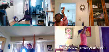 Virtual Fitness Becomes Reality at UMB - UMB News