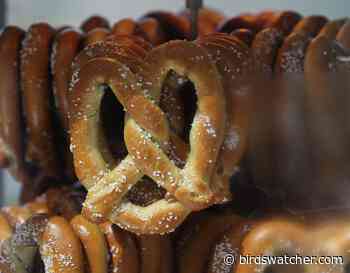 Pretzel Day: Delicious Stadium Treats for Baltimore Orioles Fans - Birds Watcher