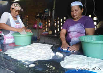 Quesilleras de Nagarote, generación de empleo y dinamismo económico - TN8 Nicaragua