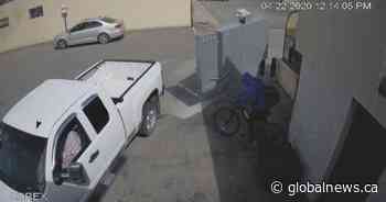 ‘It’s his only form of transportation’: Lethbridge family speaks out after son with disability has bike stolen - Global News