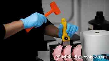 Volunteers use 3D printers to make personal protective equipment during pandemic - Lethbridge News Now