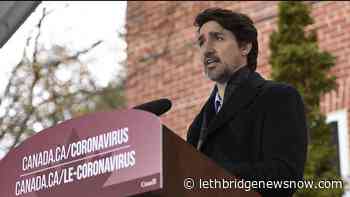 Businesses can now apply for wage subsidy - Lethbridge News Now