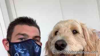 Whitecaps' sale of face masks to boost Vancouver Aquarium going gangbusters - Lethbridge News Now