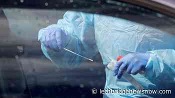 Researchers scramble to inform doctors of COVID-19 risk to LGBTQ - Lethbridge News Now