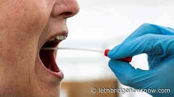 The latest numbers on COVID-19 in Canada The latest numbers of confirmed and presumptive COVID - Lethbridge News Now