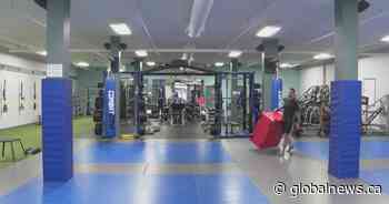 ‘Like a stab to the belly’: Lethbridge business survey reveals struggles during COVID-19 - Global News