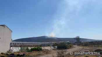 Irapuato: Daña flora y fauna incendio en cerro de Arandas y El Copalillo - Zona Franca
