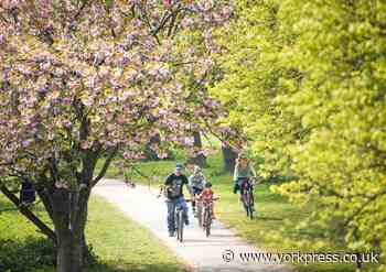 Parks open up to help keep residents happy and healthy