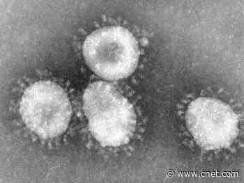 Scientists say new disinfectant protects surfaces from coronavirus for 90 days     - CNET
