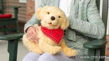 Some seniors isolated with Alzheimer's and dementia are getting robotic therapy pets