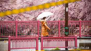 Not much urgency seen in Japan's COVID-19 state of emergency — despite some success