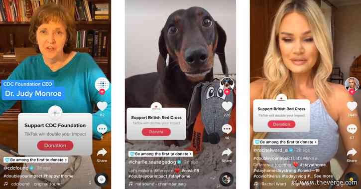 TikTok’s latest stickers let you donate to charity