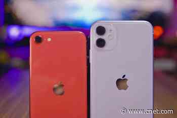 iPhone SE vs. iPhone 11 comparison: Which Apple phone to buy in 2020     - CNET