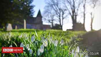 Cemeteries reopen following policy change