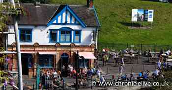 Socially distanced beer gardens could open before pubs - experts claim