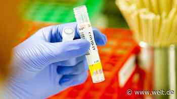 Bundesregierung will von Corona-Massentests plötzlich nichts mehr wissen