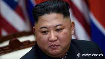 North Korea's absent Kim may be trying to avoid coronavirus: South Korean cabinet minister