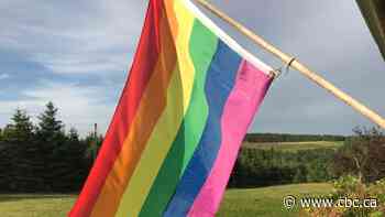 Saskatoon city councillors vote to draft bylaw on conversion therapy