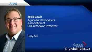 APAS president Todd Lewis on Saskatchewan’s delayed seeding