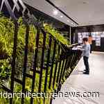 Singapore’s City in a Garden vision: Design Council and University to co-host webinar