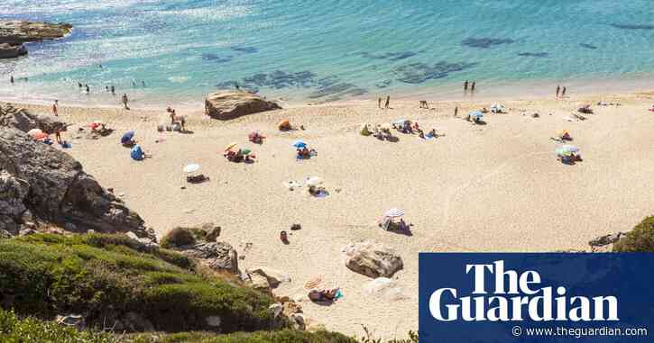Spanish official apologises for spraying beach with bleach