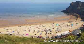 Locals demand council scrap summer beach ban for dogs due to lockdown