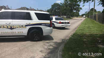 Woman may have lunged in front of 18-wheeler before getting hit and killed, deputies say - KTRK-TV