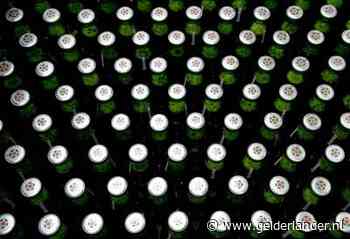 Boetes van 1400 euro voor Nijmeegse cafés die bierpakketten aanbieden