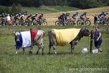 Mogelijk beperkt aantal toeschouwers bij start Tour