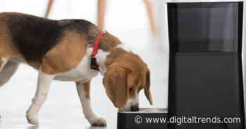 Petnet faces shutdown as service disruptions affect its SmartFeeders