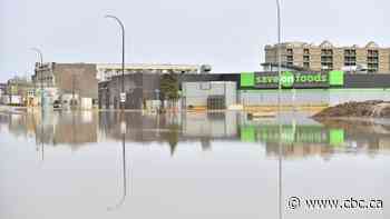 Fort McMurray must wait on Alberta before troops can be called to help with flooding