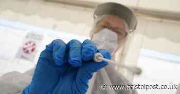 UK coronavirus death toll rises by 368 in one day - Bristol Live