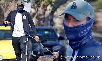 Crazy Rich Asians star Henry Golding takes his pitbull out for a walk