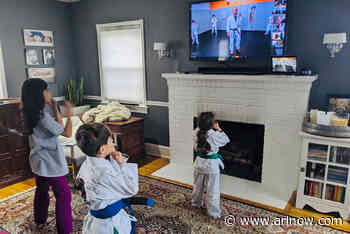 Pentagon Mixed Martial Arts Makes a Seamless Transition to Live Virtual Classes - ARLnow