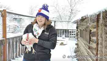 Metro area arts go online - Englewood Herald