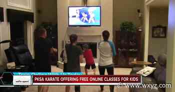 We're Open Metro Detroit martial arts group offering free Zoom classes to kids Ali Hoxie - WXYZ