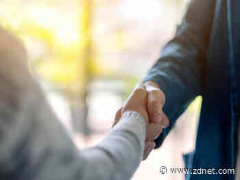 How Rapidi is thriving by giving back