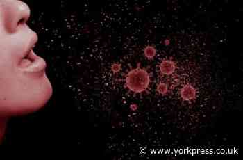 Seven more people confirmed as having coronavirus in York