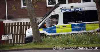 Police discover suspected cannabis farm in early morning raid at Newcastle home