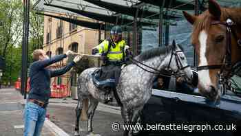 Key workers and their horses pull up for food at five-star hotel drive-through