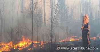 Railway pays $1.25M settlement over fire that burned national forest in NE. Minnesota