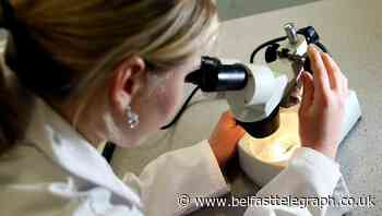 Potential Covid-19 treatments could be fast-tracked under new initiative