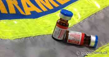 Saskatoon paramedics sound alarm over spike in narcotic overdoses