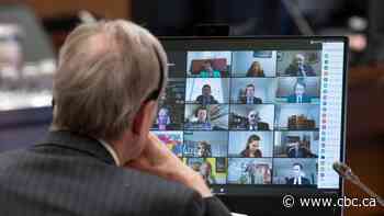 Mute buttons and decorating tips: the House of Commons stumbles through an online session