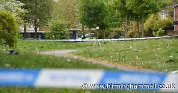 Four men released under investigation in murder probe