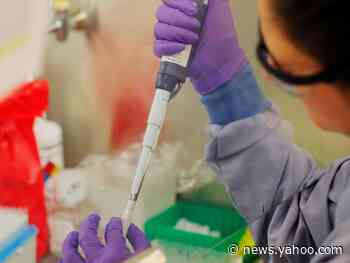 A study backed by Mark Zuckerberg reveals companies are selling antibody tests for the coronavirus with big potential for error