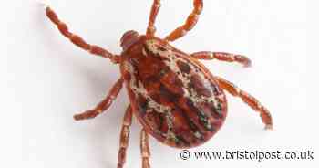 People urged to be aware of ticks while taking daily exercise