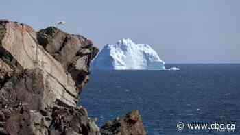 Don't come from away: N.L. calls out iceberg tourists as locals fear COVID-19