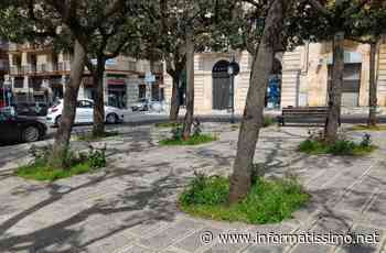 Putignano – L'erba alta invade i marciapiedi; quando si comincia a tagliare? (Fotogallery) - Putignano Informatissimo