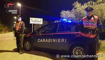 Erba e cocaina in casa. Carabinieri arrestano un 23enne a Mendicino - Cosenza Channel